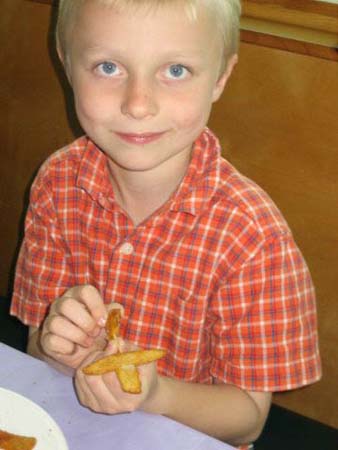 Airplane_french_fry