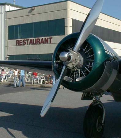Patio_Beech18