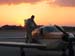 Sunset_01